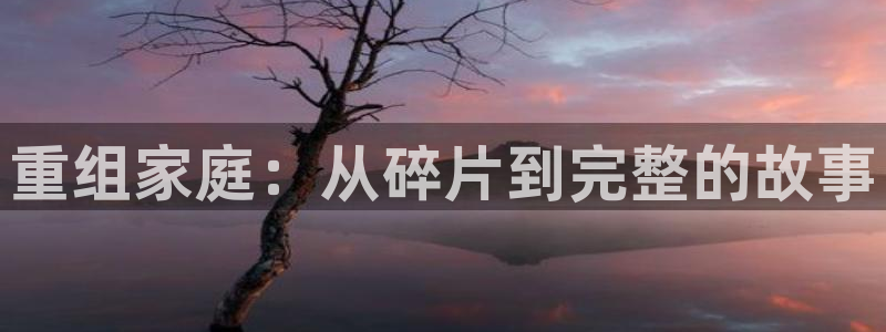 电影樱桃在线观看：重组家庭：从碎片到完整的故事