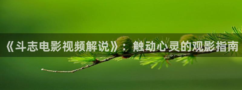 樱桃影院在线观看：《斗志电影视频解说》：触动心灵的观影指南