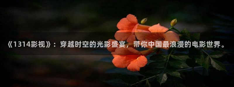 樱桃视频网站：《1314影视》：穿越时空的光影盛宴，带你中国最浪漫的电影世界。