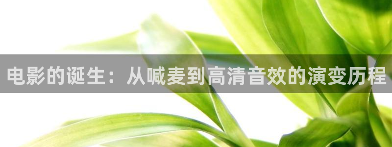 樱桃河南：电影的诞生：从喊麦到高清音效的演变历程