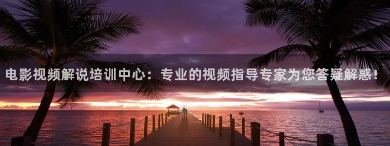 樱桃红之袖珍电视剧全集在线观看免费：电影视频解说培训中心：专业的视频指导专家为您答疑解惑！