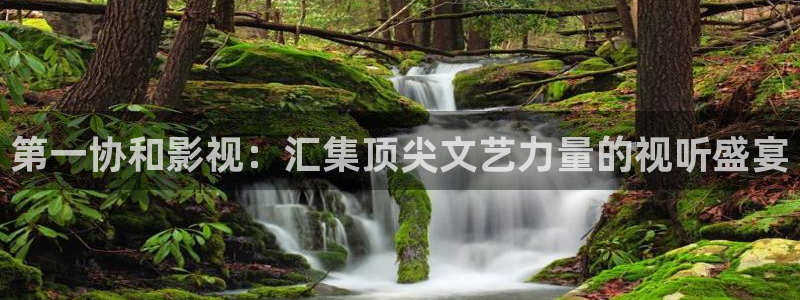 樱桃视频最新网站：第一协和影视：汇集顶尖文艺力量的视听盛宴