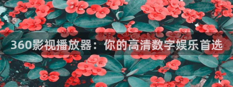樱桃视频在线观看网站入口：360影视播放器：你的高清数字娱乐首选
