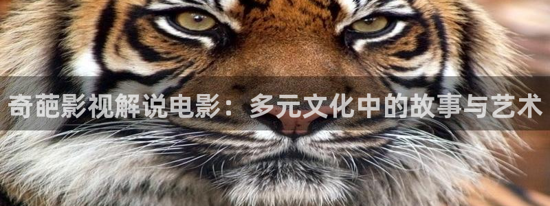 深夜樱桃视频：奇葩影视解说电影：多元文化中的故事与艺术