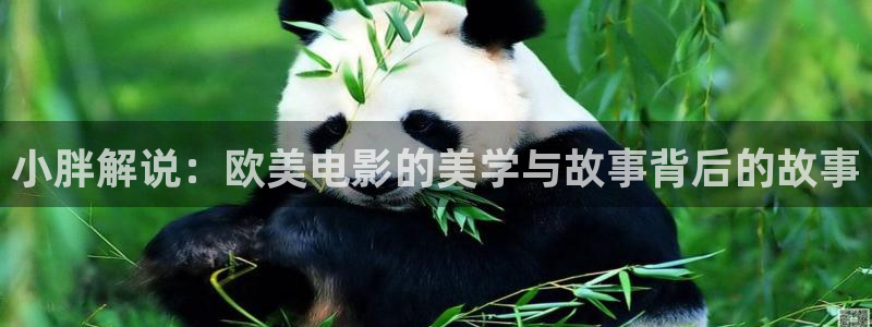 樱桃视频888：小胖解说：欧美电影的美学与故事背后的故事