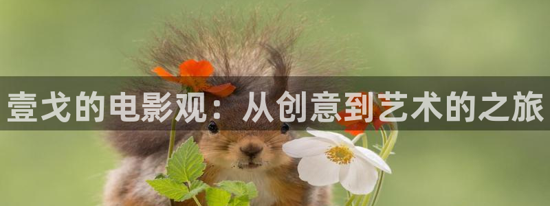 樱桃电影在线观看：壹戈的电影观：从创意到艺术的之旅