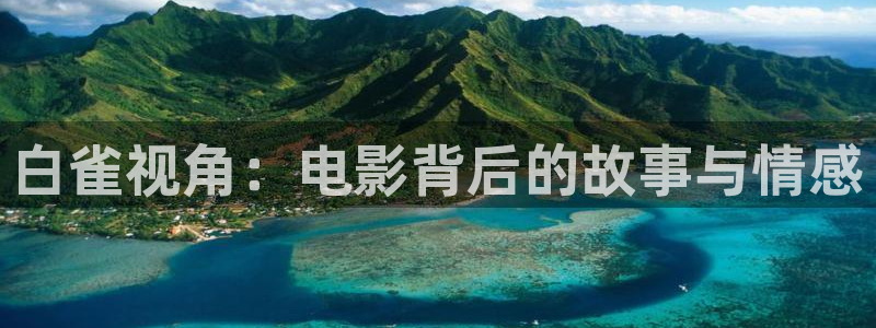樱桃视频在线观看网址入口：白雀视角：电影背后的故事与情感