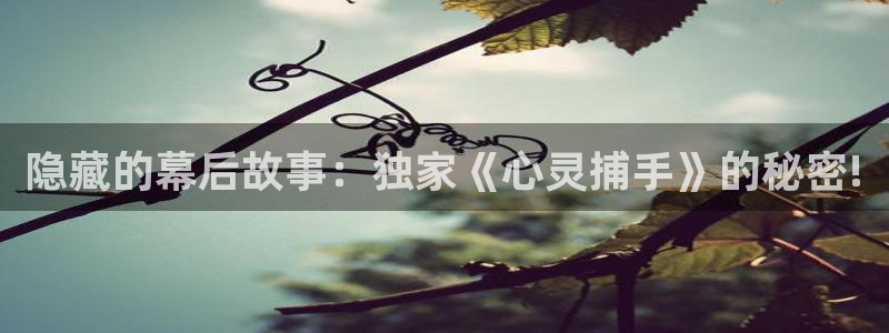 樱桃视频看片app
