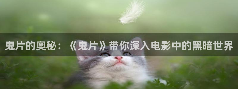 樱桃视视：鬼片的奥秘：《鬼片》带你深入电影中的黑暗世界