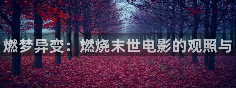 樱桃视频进入