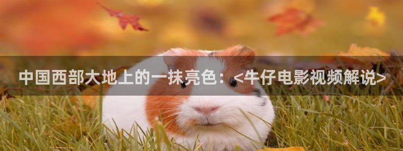 樱桃视频老版本