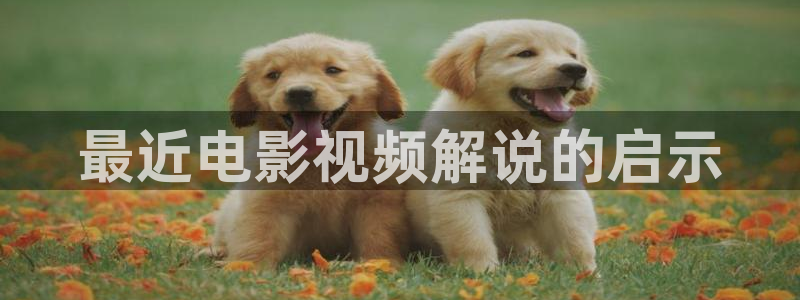 樱桃影院免费观看