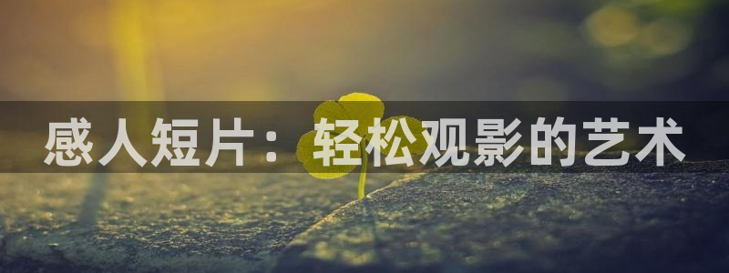 电影樱桃在线观看免费：感人短片：轻松观影的艺术