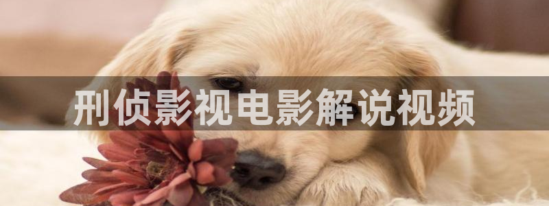 樱桃传媒视频：刑侦影视电影解说视频