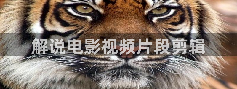 樱桃孩子电视剧在线观看：解说电影视频片段剪辑