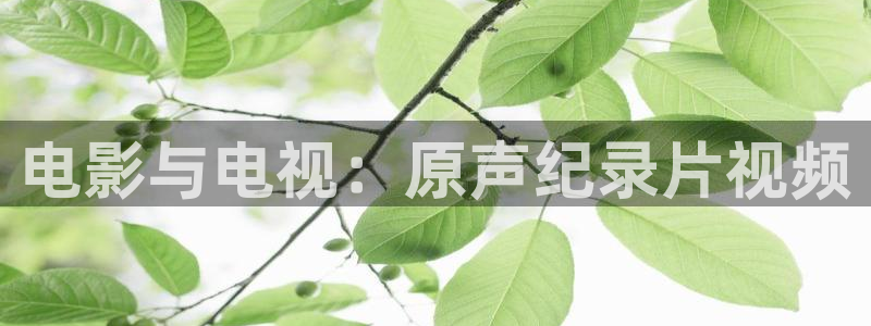 樱桃在线视频观看：电影与电视：原声纪录片视频