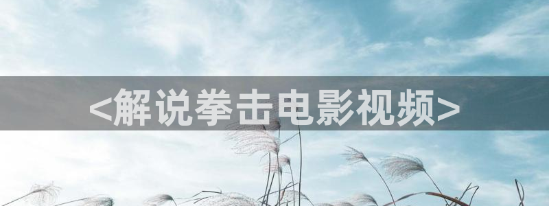 樱桃电视剧免费高清看：<解说拳击电影视频>