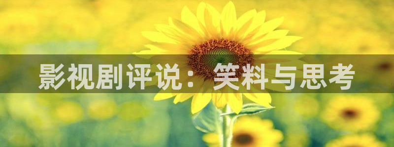 樱桃电视剧免费高清全集：影视剧评说：笑料与思考