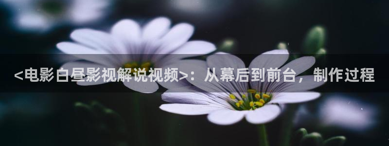 樱桃视频一区：<电影白昼影视解说视频>：从幕后到前台，制作过程