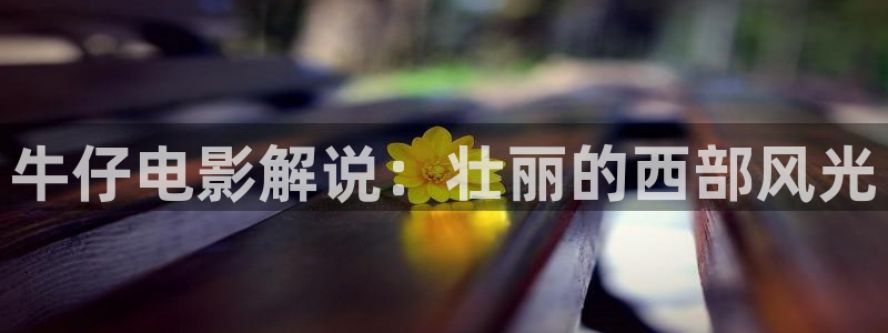电视剧樱桃琥珀免费观看：牛仔电影解说：壮丽的西部风光