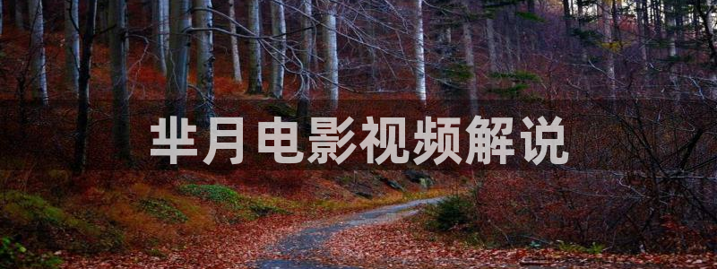樱桃影院电视剧在线播放：芈月电影视频解说