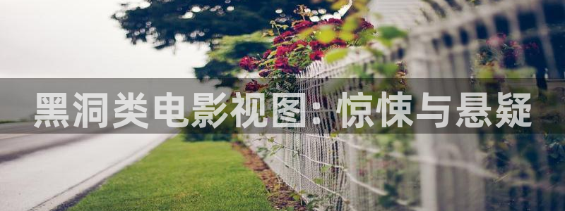 91樱桃视频：黑洞类电影视图: 惊悚与悬疑