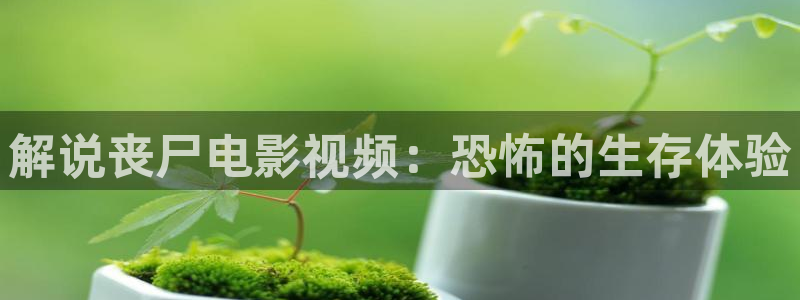 大连樱桃视频：解说丧尸电影视频：恐怖的生存体验