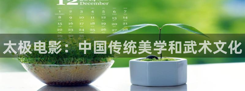 在线观看樱桃视频在线观看：太极电影：中国传统美学和武术文化