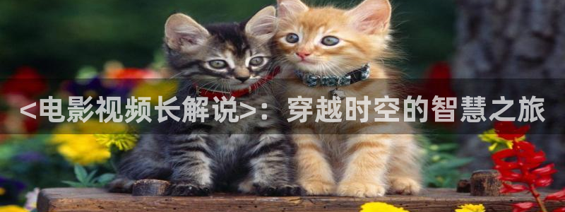 樱桃视频九一：<电影视频长解说>：穿越时空的智慧之旅