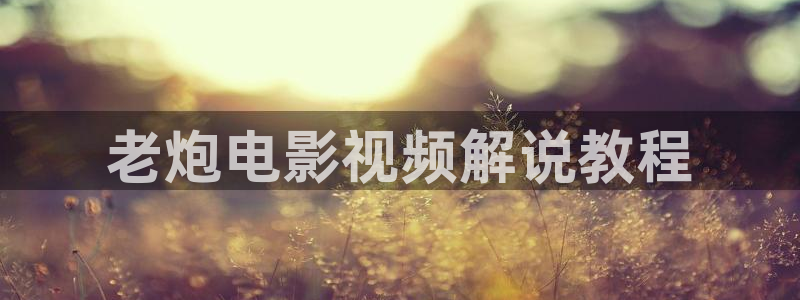 针叶樱桃vc片