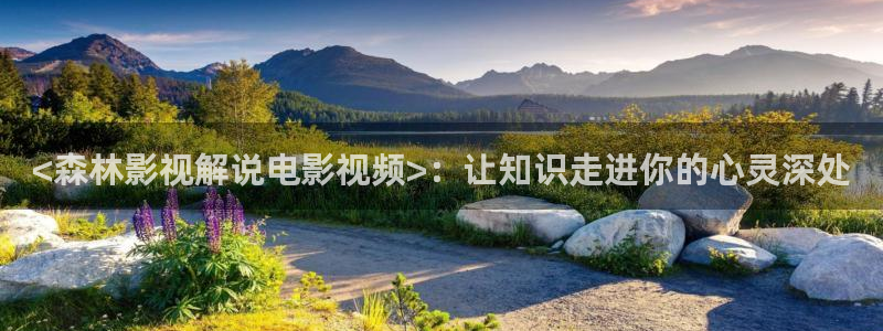 樱桃免费高清在线观看：<森林影视解说电影视频>：让知识走进你的心灵深处