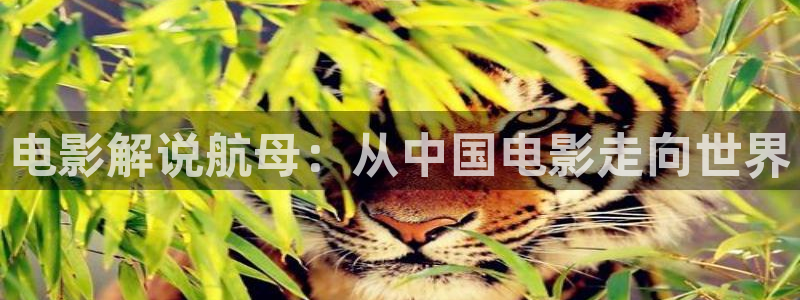 黄樱桃在线观看免费全集高清完整：电影解说航母：从中国电影走向世界