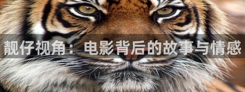 成人丁香网樱桃视频