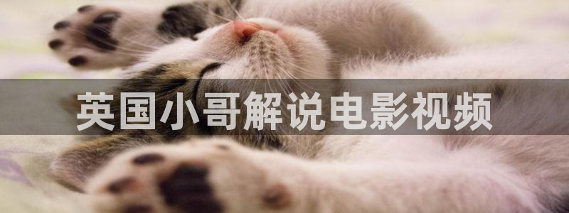 樱桃网站入口在线观看视频