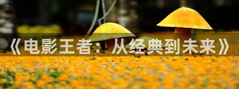 樱桃传媒视频