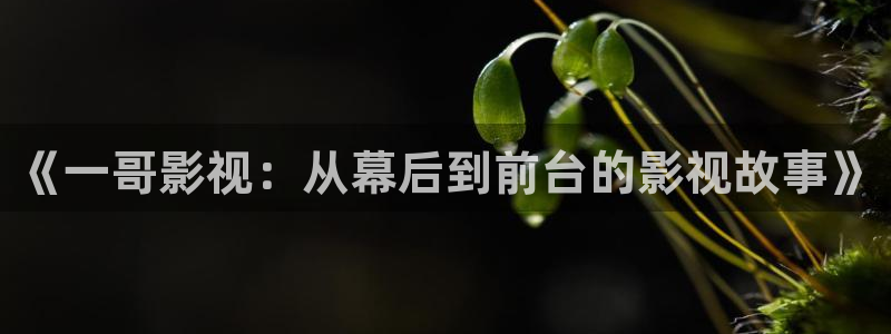 樱桃红免费观看电视剧