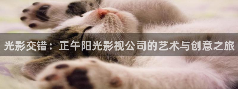 樱桃视频v2