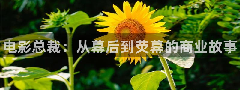 桃樱桃