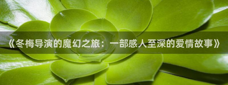 樱桃视频官