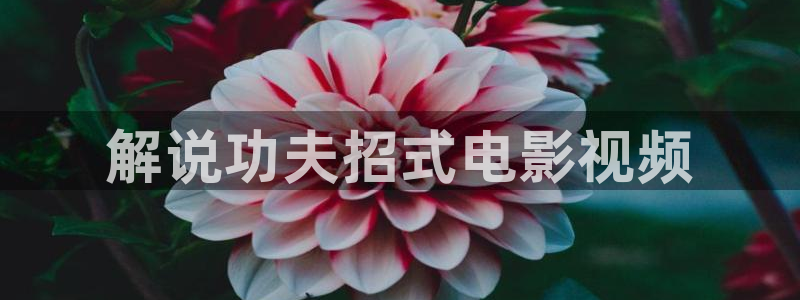 樱桃视频在哪里下载