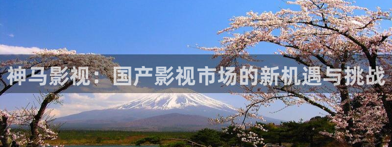 樱桃罐头的制作方法视频教程