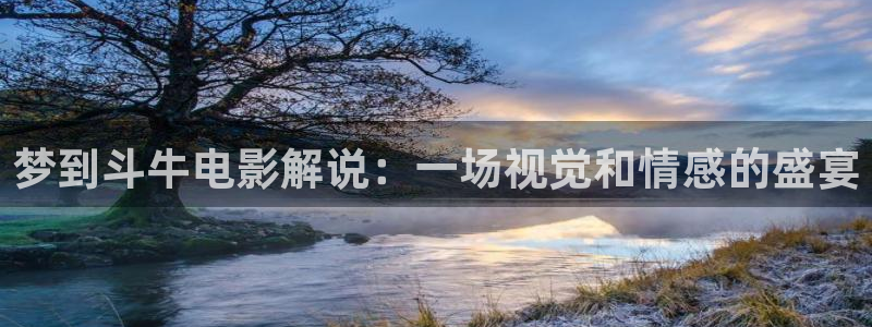 樱桃网站入口在线观看
