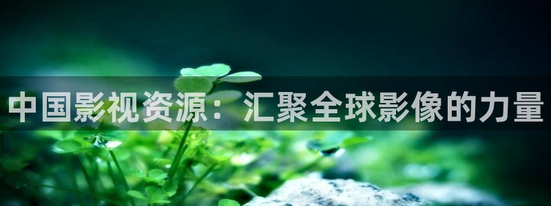 樱桃视频高清观看
