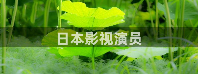 樱桃视频进入口