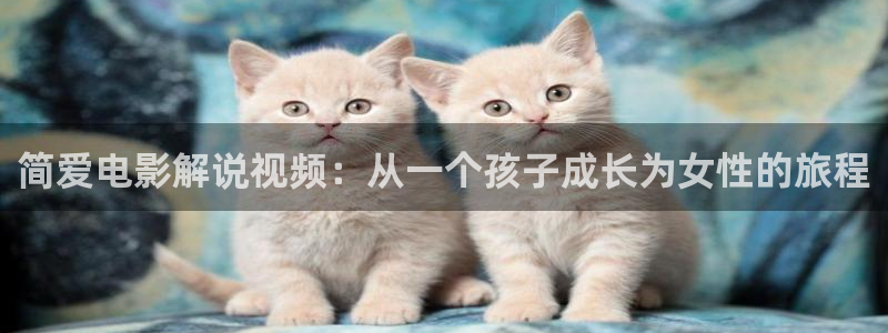 铁樱桃电视剧全集