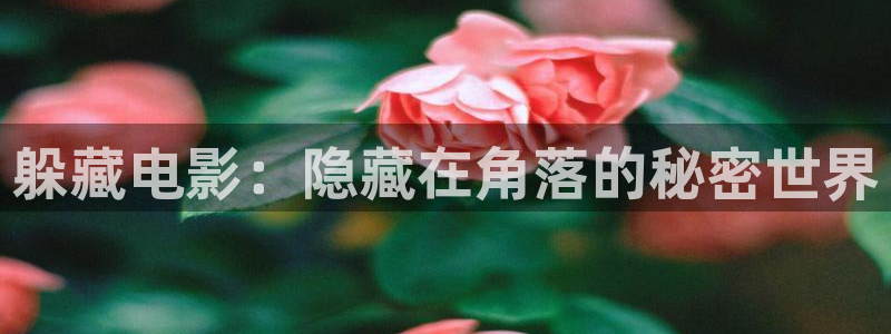 樱桃导136福利视频导航