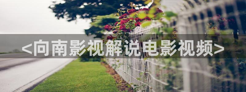 樱桃免费版在线观看电视剧大全